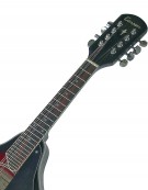 Tenson A-1, F505.400 Folk Mandoline, Hardwood Fingerboard , W / Bag, Sunburst