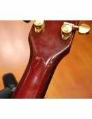 Gibson Les Paul Heritage Award (w / case)