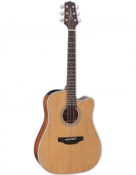 Takamine GD20CE-NS