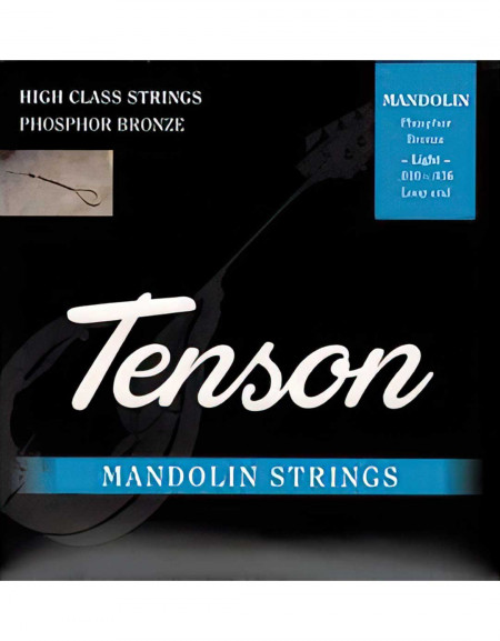 Gewa F600.455 Mandolin Wire Set Tenson Phosphor Bronze 010 - 034