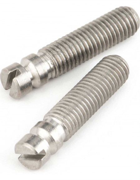 Fender Bridge Pivot Screws (2)