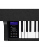 Casio CELVIANO Grand Hybrid GP-310, BK