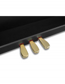 Casio CELVIANO Grand Hybrid GP-310, BK