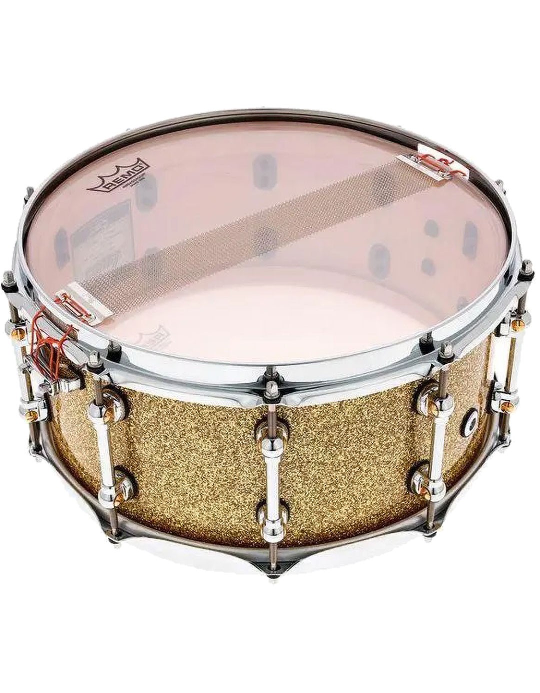 【美品】 Nova Drum C Golden Gate 10 美品】 Nova Drum C Golden Gate 10