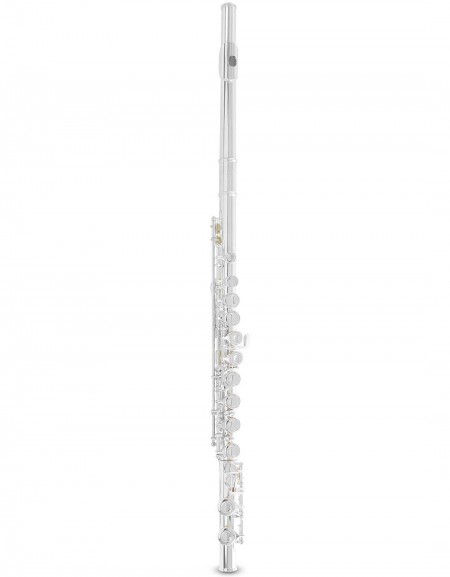 Armstrong Flute FL650E, 701.111