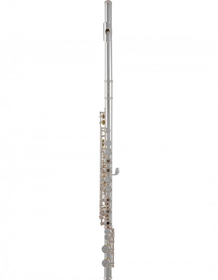 Roy Benson Flute FL-402R2, RB700.414