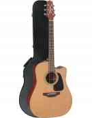 Takamine P1DC