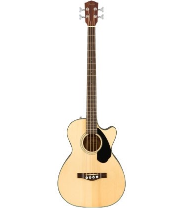 Acoustic Bass Guitars